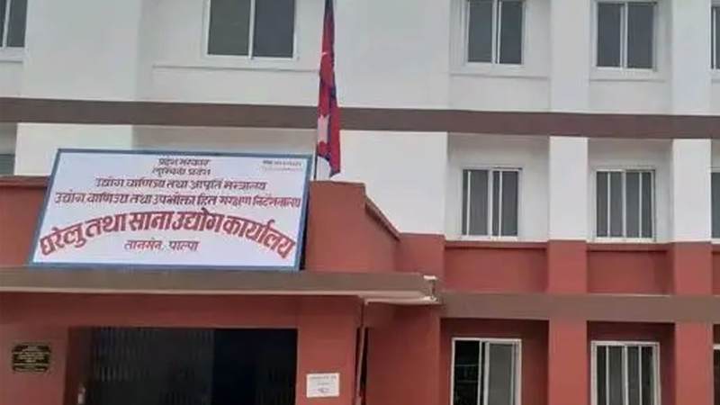 पाल्पामा एक वर्षमा एक सय ४३ फर्म खारेज
